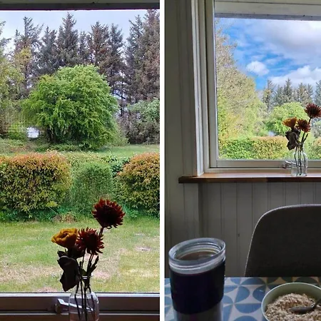 Hébergement de vacances 30148-ulfborg-irisvej-389 *